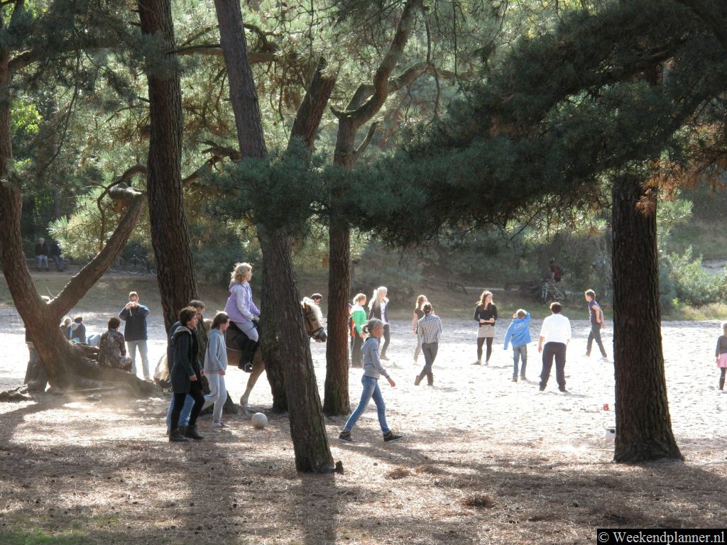 Paardrijden in de Drunense Duinen bij Udenhout. Tip: Nationaal Park de Loonse en Drunense Duinen.